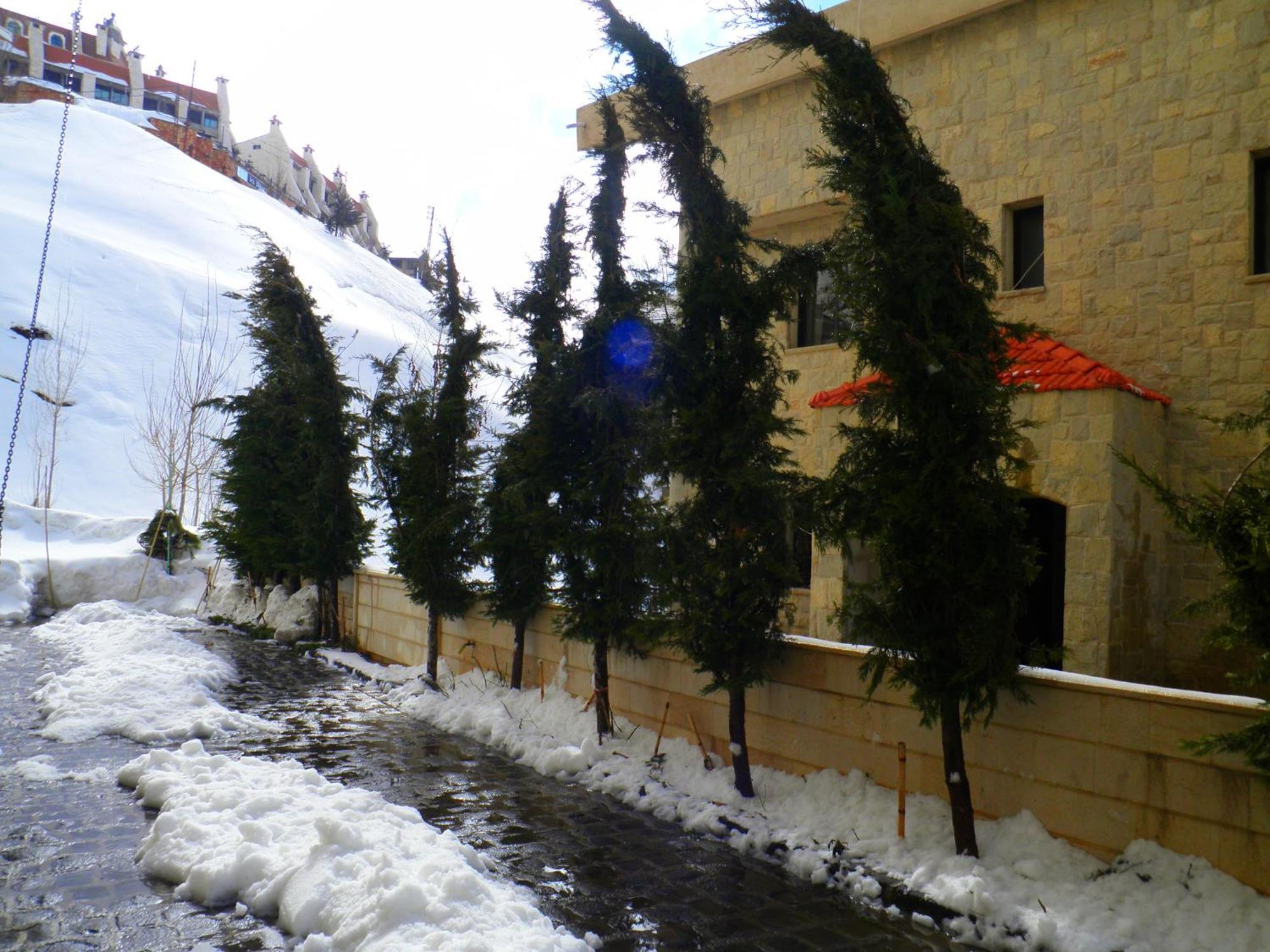 Stone Chalets Fārayyā Buitenkant foto